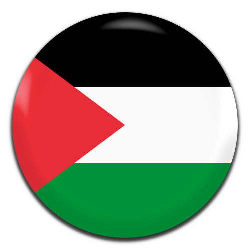 Palestine Flag 25mm / 1 Inch D-pin Button Badge