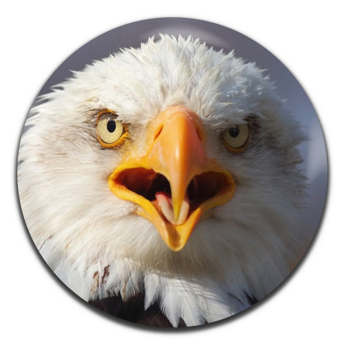 Bald Eagle 25mm / 1 Inch D-pin Button Badge