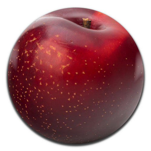 Plum Fruit 25mm / 1 Inch D-pin Button Badge